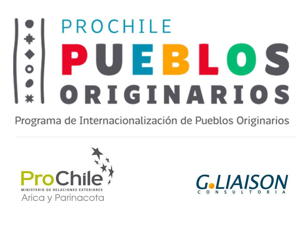 Asesoría para el programa Pueblos Originarios de ProChile